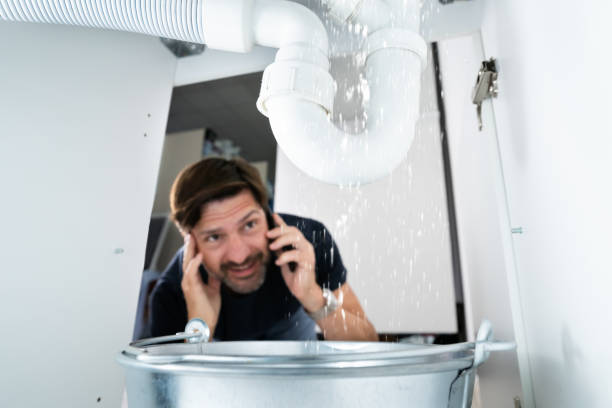 Best Plumbing Inspection Services  in Brent, FL
